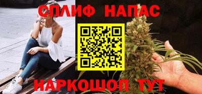 сатива Славгород