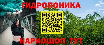 сатива Славгород