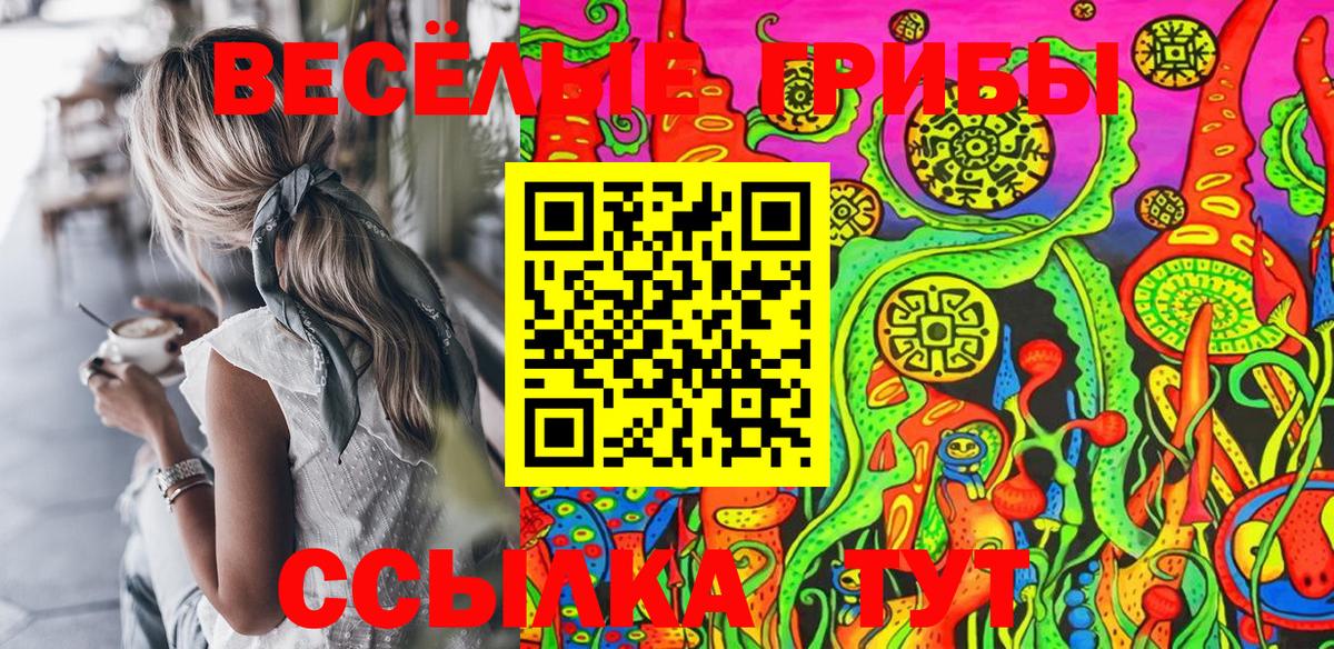 Благодарный  Псилоцибиновые грибы Cubensis  Вход с VPN 